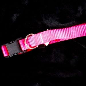 Hot pink dog collar, nylon, adjustable